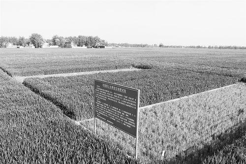 在线 国产 秦先生,秦先生引领科技潮流