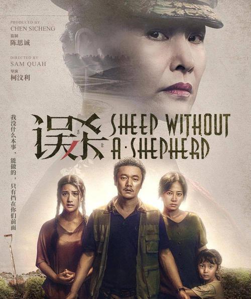 误杀2国产剧情在线观看