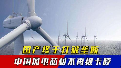 国产亚洲电在线观看不卡